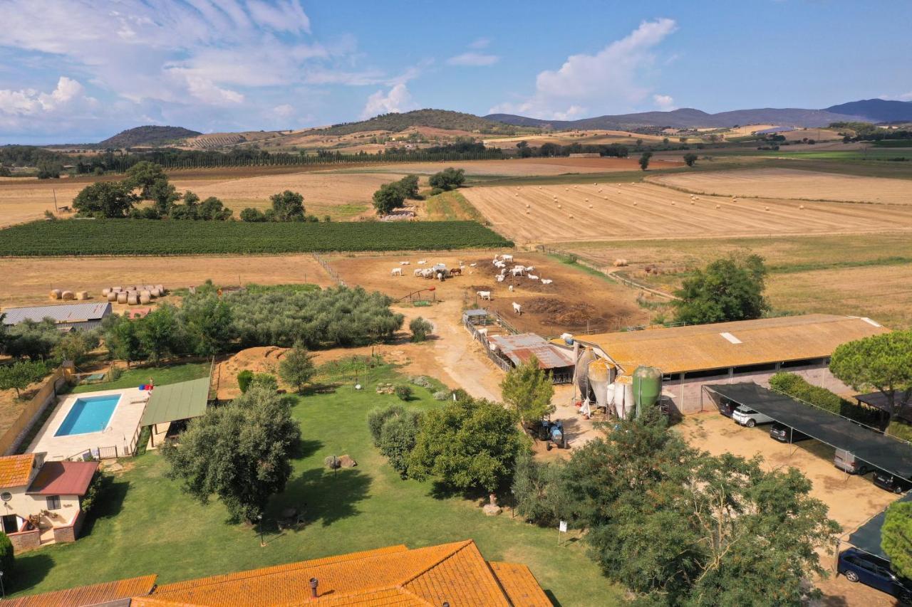 Agriturismo Al Girasole Сан-Донато Экстерьер фото