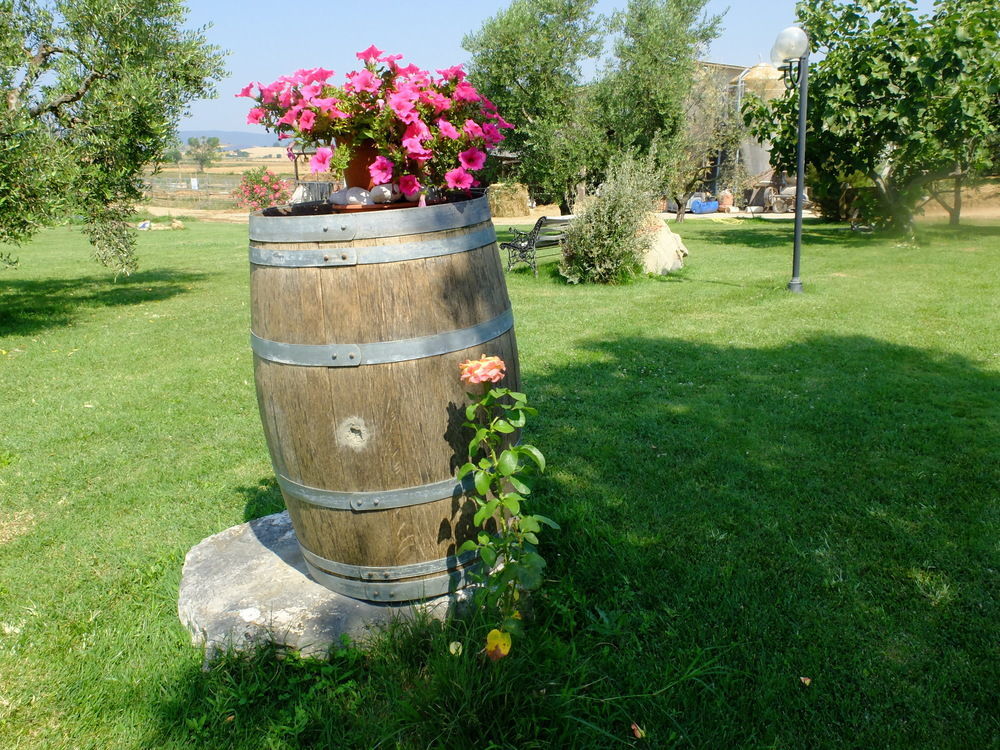 Agriturismo Al Girasole Сан-Донато Экстерьер фото